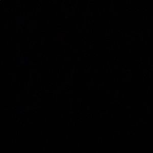 Meet your Posher, Rose